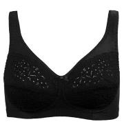 Damella BH Classic Soft Lace Bra Svart D 85 Dam