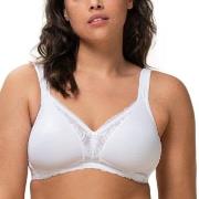 Triumph BH Modern Lace Cotton Soft Bra Vit B 75 Dam