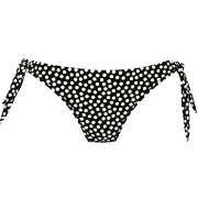 Rosa Faia Summer Dot Bikini Bottom Svart/Vit 38 Dam