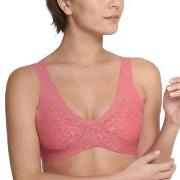 Sloggi BH ZERO Feel Lace 2.0 Bralette Rosa Medium Dam