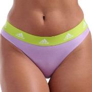 adidas Trosor 3P Sport Cotton Logo Thong Lila/Svart bomull Large Dam