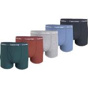 Calvin Klein Kalsonger 5P Cotton Trunks Flerfärgad bomull Medium Herr
