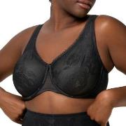 Triumph BH Wild Rose Sensation W01 Svart D 95 Dam