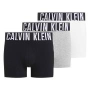 Calvin Klein Kalsonger 3P Intense Power Trunks Vit/Grå bomull Large He...