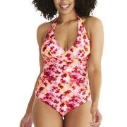 Abecita Haiti Halterneck Swimsuit Svart B/C 38 Dam