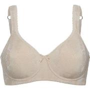 Swegmark BH Adamo Padded Soft Wired Bra Beige B 80 Dam