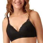 NATURANA BH Padded Non Wired Bra Svart polyamid C 90 Dam