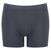 Sloggi Kalsonger 2P Men EverNew Short Grå bomull XX-Large Herr