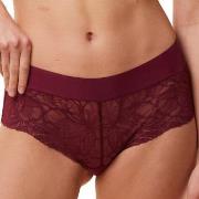 Triumph Trosor Body Make-Up Illusion Lace Shorty Vinröd 46 Dam