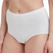 Decoy Trosor 5P Maxi Briefs Vit ekologisk bomull X-Large Dam