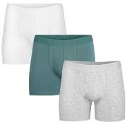 Pierre Robert Kalsonger 3P For Men Boxers Blå/Grå ekologisk bomull Lar...