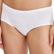 Calida Trosor Essential Cotton Hipster Panty Vit bomull Large Dam