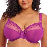 Elomi BH Matilda Underwired Plunge Bra Fuchsia/Lila H 90 Dam