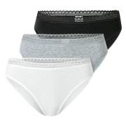 Schiesser Trosor 3P Modern Lace Rio Briefs Flerfärgad bomull 42 Dam
