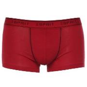 Esprit Kalsonger 3P Cole Hipster Shorts Blå/Röd bomull XX-Large Herr