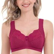 Anita BH Orely Support Bra Cherry nylon D 85 Dam