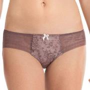 Rosa Faia Trosor Fleur Brief Berry 38 Dam