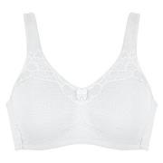 NATURANA BH Molded Cotton Soft Bra Vit bomull D 90 Dam