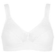 Damella BH Felice Soft Bra Vit bomull A 95 Dam