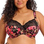 Elomi BH Morgan Banded Bra Blommig L 85 Dam