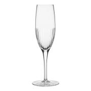 Magnor - Alba Fine Line Champagneglas 25 cl Klar