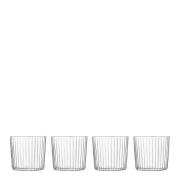 LSA International - Gio Line Glas 31 cl 4-pack