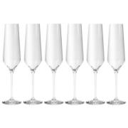 Eva Trio - Legio Nova Champagneglas 6-pack