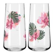 Ritzenhoff - Sommersonett Highballglas 2-pack Monstera