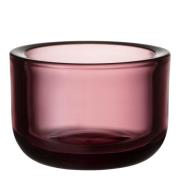 iittala - Valkea Ljuslykta 6 cm Ljung