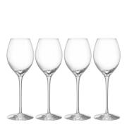 Orrefors - More Champagneglas Boule 31 cl 4-pack