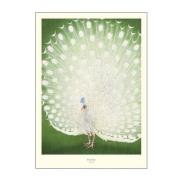 Poster & Frame - A.P. Atelier poster 50x70 cm peacock