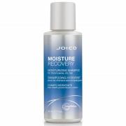 Joico Moisture Recovery Moisturizing Shampoo For Thick-Coarse, Dry Hai...