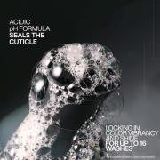 Redken Acidic Color Gloss Shampoo Mini 75ml , Conditioner Mini 50ml an...