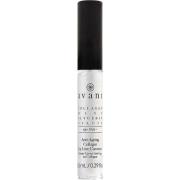 Anti-Ageing Collagen Lip Line Corrector, 8,5 ml Avant Skincare Läppbal...