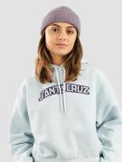 Santa Cruz Gingham Arch Strip Hoodie baby blue