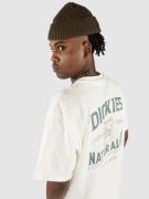 Dickies Elliston T-Shirt cloud