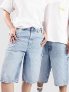 Solid SDTOMMY Carpenter Shorts light blue denim