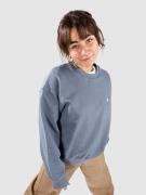 Carhartt WIP Casey Tröja angelite/silver