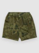 The Dudes Fingathing Army Ez Premium Shorts multicolor