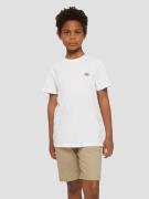 Dickies Mapleton Kids T-Shirt white