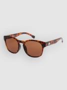 Quiksilver  brown