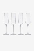 Mischa Billing - Champagneglas 4-pack Mischa - Natur - Vinglas - Från ...