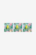 Paperproducts Design - Servetter Perruches 33x33 cm 3 st 20-pack - Fle...