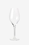 Rosendahl - Champagneglas Premium 37 cl 2 st. - Transparent - Vinglas ...