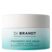 Dr. Brandt Needles No More Hyaluronic Face Cream 50 g