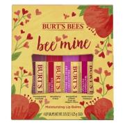 Burt's Bees Bee Mine Lip Balm 4 st