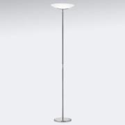 Knapstein LED-uplight-golvlampa Mika, nickel-krom