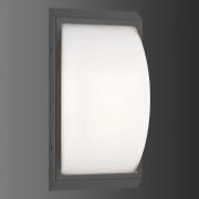 LCD Utomhusvägglampa 053 i stål, grafit