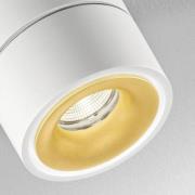 Egger Licht Egger Clippo Duo LED-spotlight, vit-guld, 3 000 K