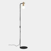 LEDS-C4 Nude Single Curved golvlampa guld/svart